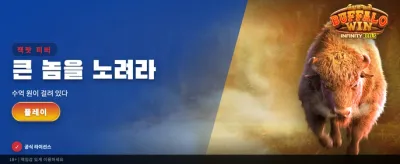 버팔로의 강력한 승리를 잡으세요 banner